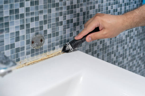 Best Preventive Mold Services in Brazil, IN